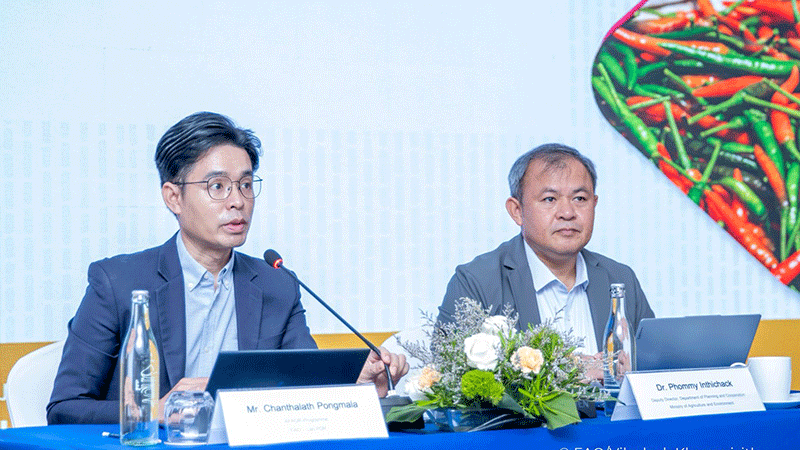 Laos pushes chilli exports, targeting China and S. Korea
