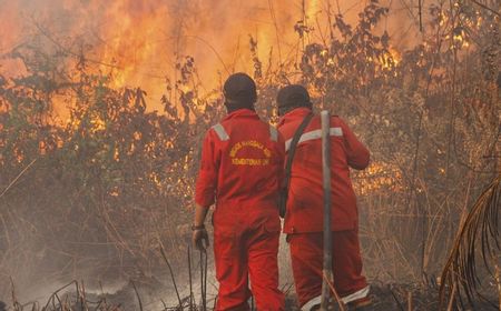 PKS Legislator Urges Prabowo to Set Deadline for 2026 Forest Fire Handling