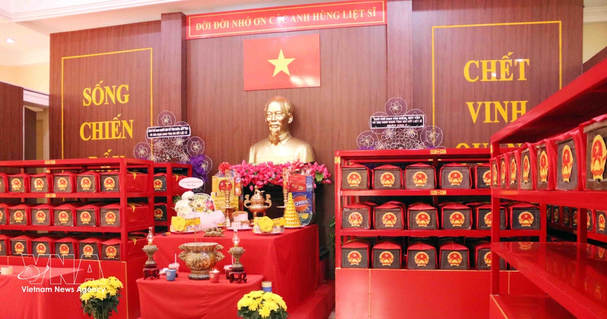 Remains of 197 Martyrs Unearthed at HCM City Park, Honoring Sacrifice, Ensuring Future