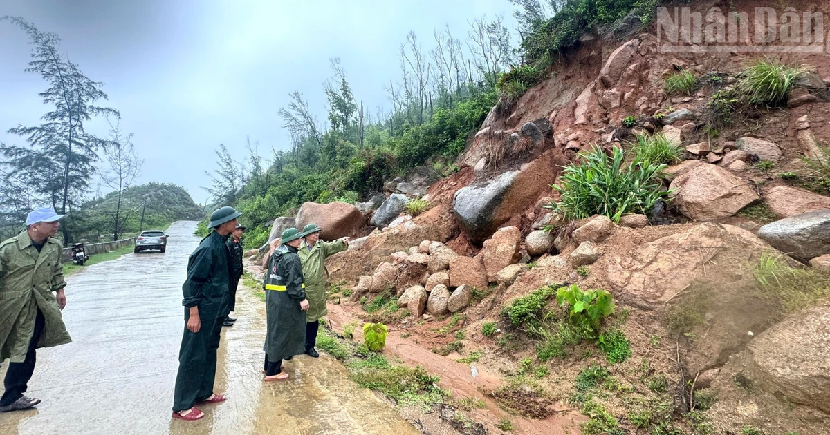 Over 1,200 Hectares of Rice Fields in Ha Tinh Submerged Due to Heavy Rains