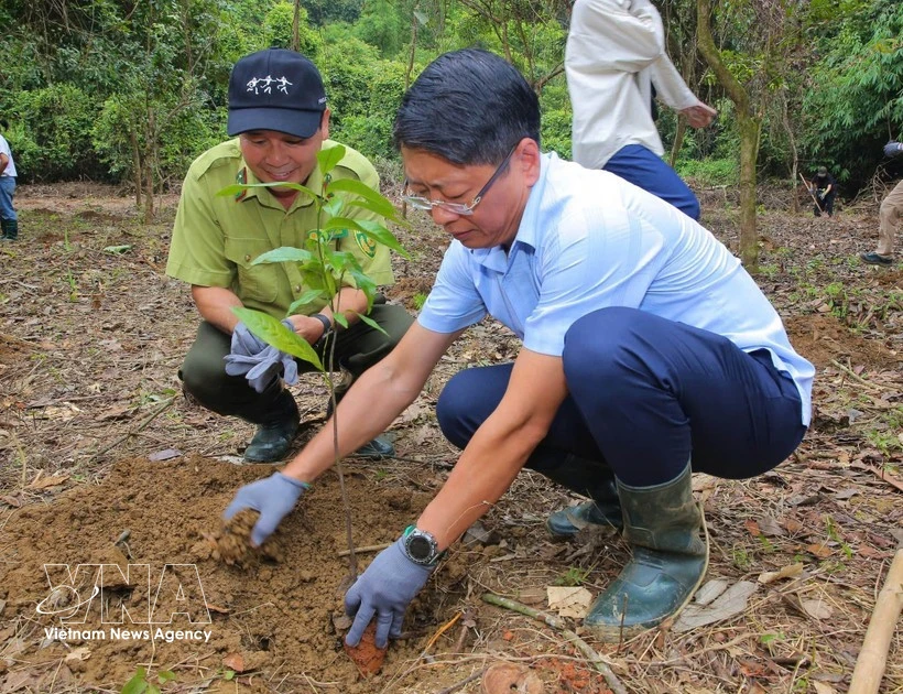 ベトナム、自然保護と国際協力で躍進 キュウフン国立公園の未来