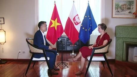 Vietnam, Poland Eye Expanded Cooperation in Digital Transformation