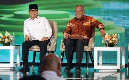 Indonesia Focuses on Boosting Food Self-Sufficiency: Deputy Agriculture Minister Stresses 'Healthy Trade System'