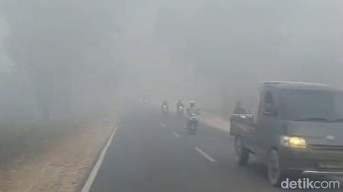 Widespread Forest Fires in Kalimantan Disrupt Education and Transportation