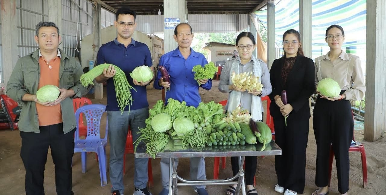 AEON Inspects and Purchases Ginger and Cabbage from Farmers on Koh Sdech Tonle Facing Flood Risk