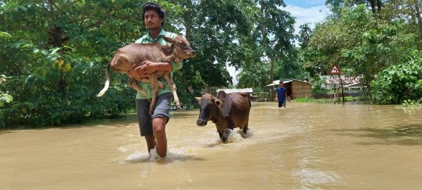 World Bank's Climate Target Retreat Risks Undermining Support for India's Vulnerable