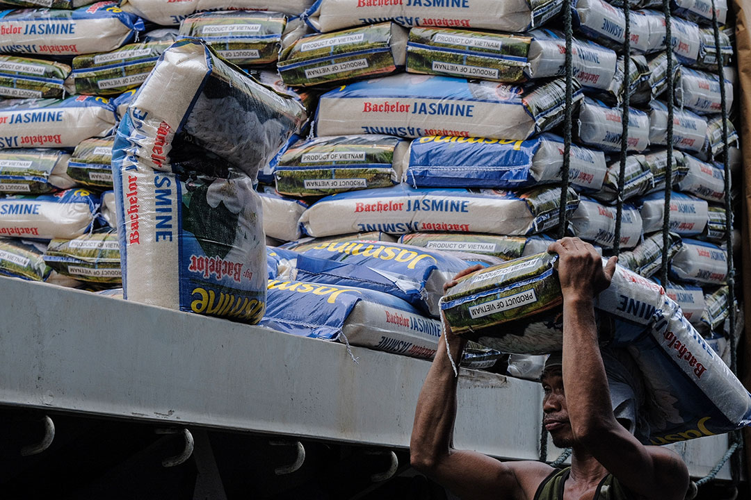 Philippine Rice Inventory Down 10.1% in July, Raising Price Concerns