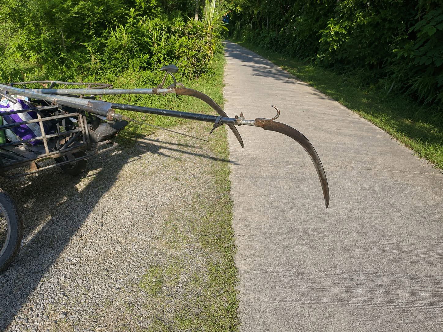 Student Dies in Freak Accident as Palm Sickle Slashes Throat