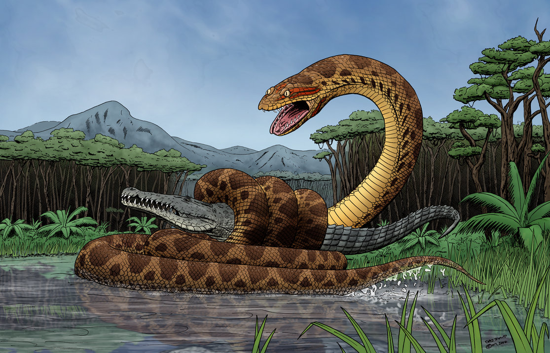 Giant Reticulated Python in South Sulawesi Breaks World Record at 7.22 Meters