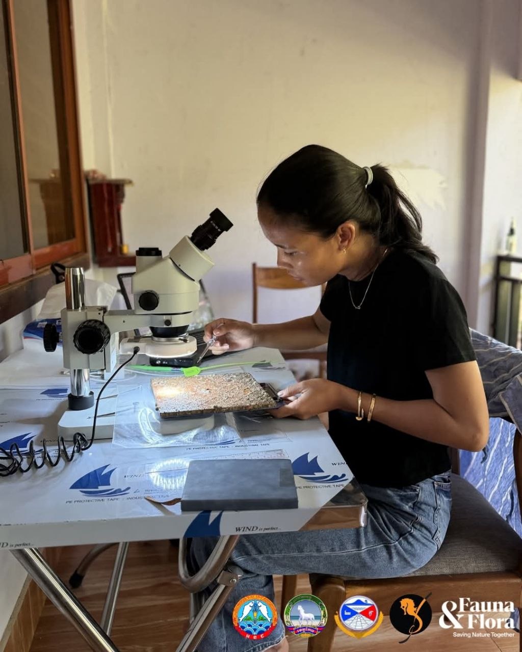 MCC Conducts First Oyster Spat Settlement Research in Cambodia