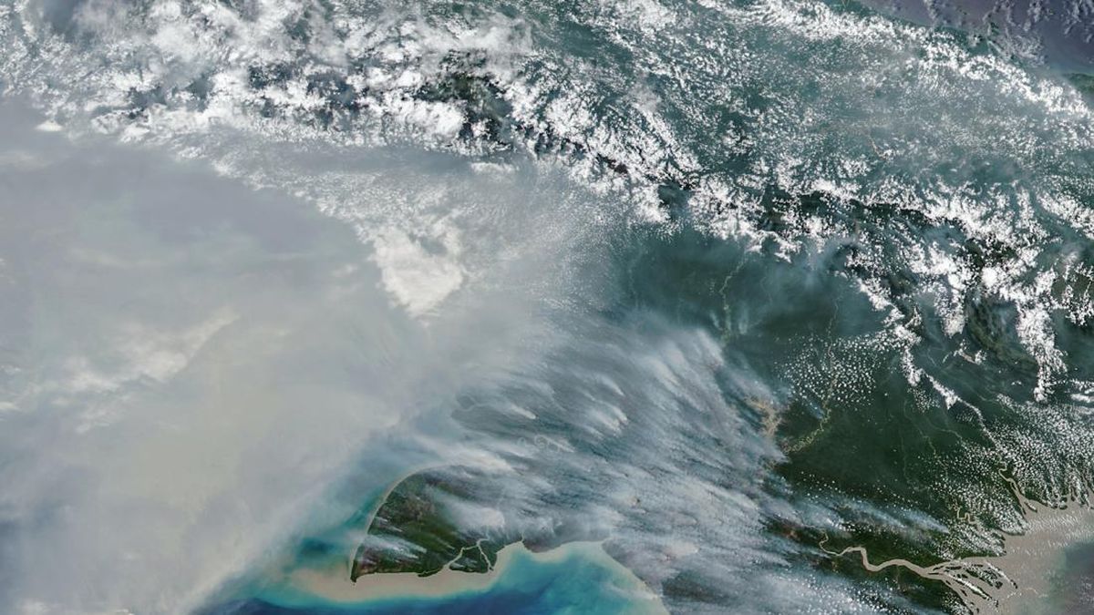 Papua Forest and Land Fires Burn 2,393 Hectares, 73 Hotspots Remain