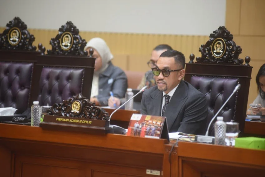 Majority of Forest Fire Suspects Allegedly Intentionally Burned, Legislator Demands Strict Punishment