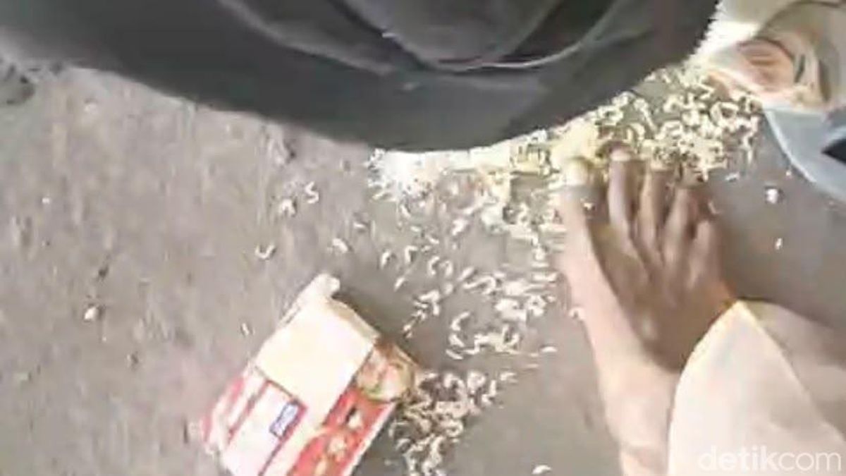 NTT Earthquake Victim Apologizes for Trampling Food Aid, Cites Insufficient Support