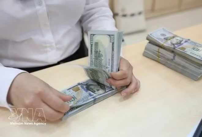 ベトナム、為替レート変動も経済成長の勢い維持