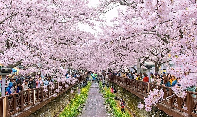South Korean county launches $253M Vietnam-themed development to revive rural area