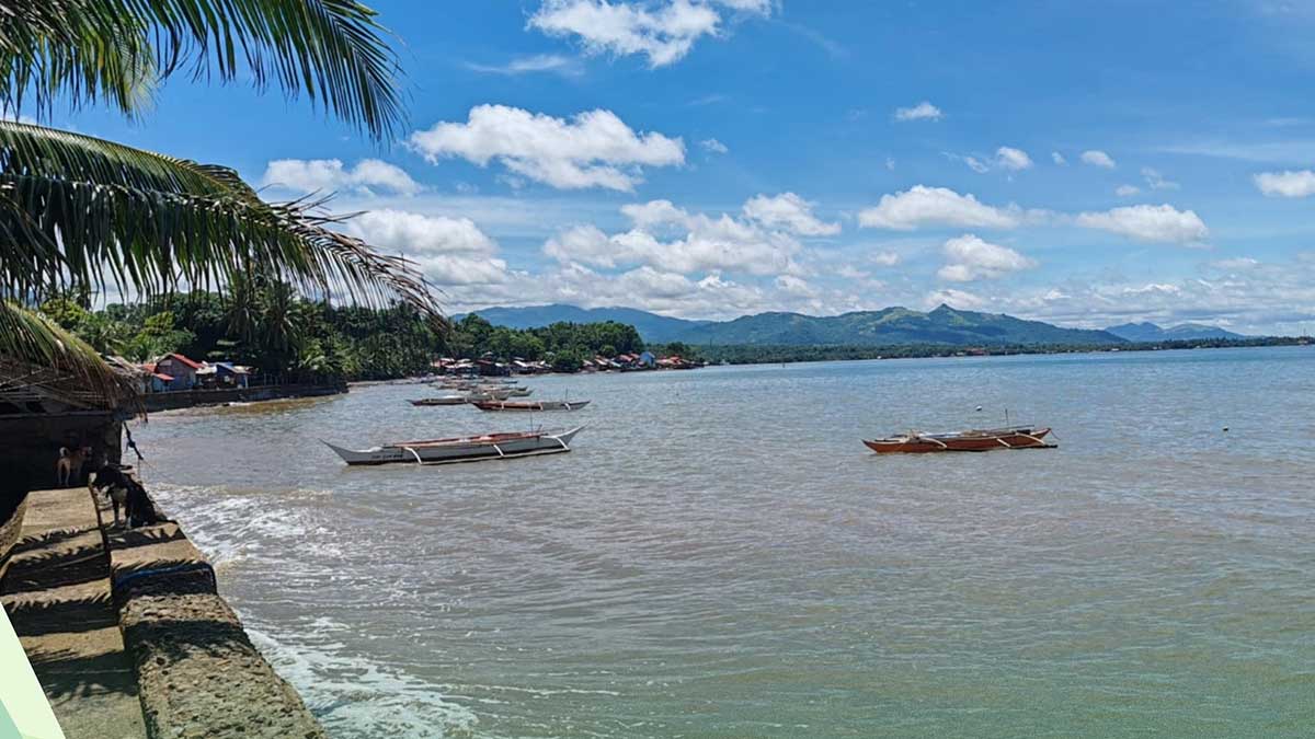 BFAR Lifts Shellfish Ban in Biliran Island Amid Red Tide Concerns