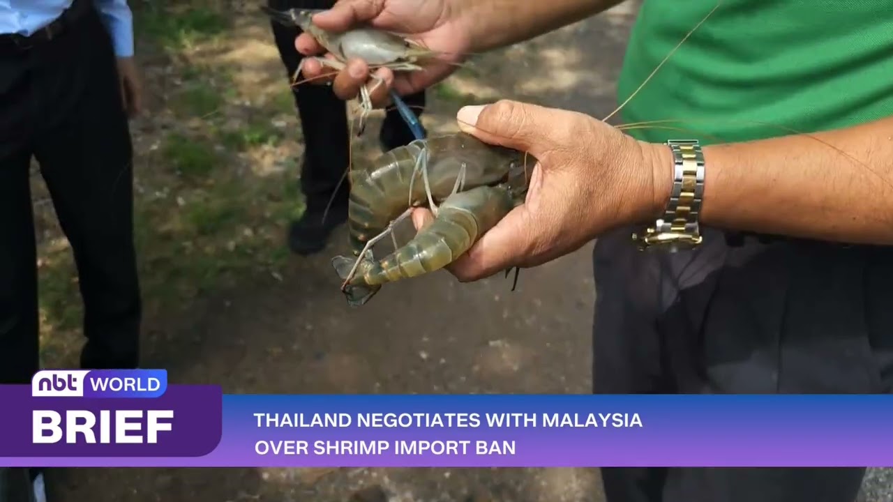 Thailand Accelerates Talks with Malaysia to Lift Shrimp Import Ban