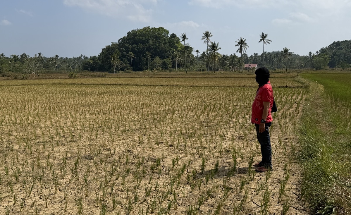 Bohol Launches Cloud Seeding Operations to Save Farms Amid El Niño Drought