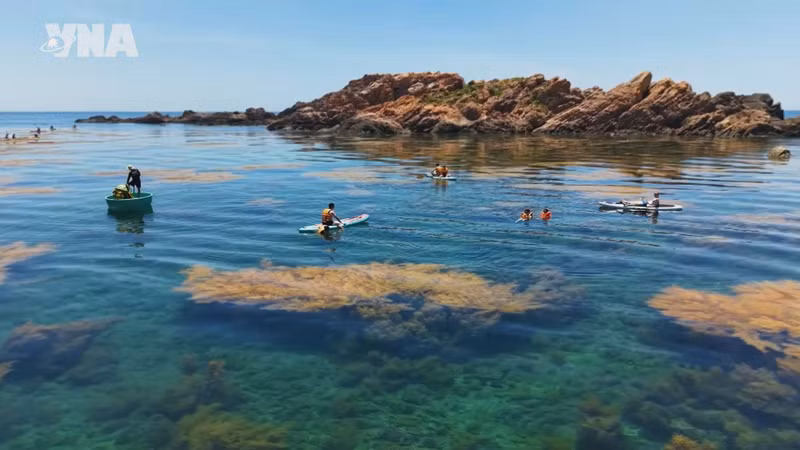Nhon Hai Balances Marine Tourism with Coral Reef Conservation