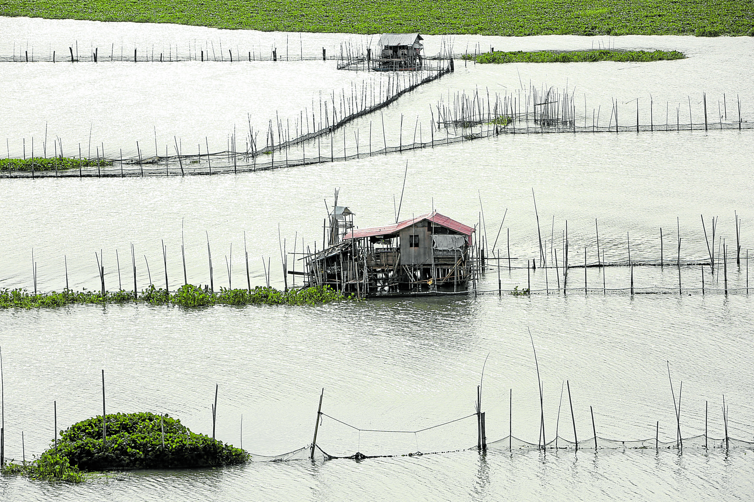 Laguna de Bay Water Level Rises, Stays Below Critical Mark