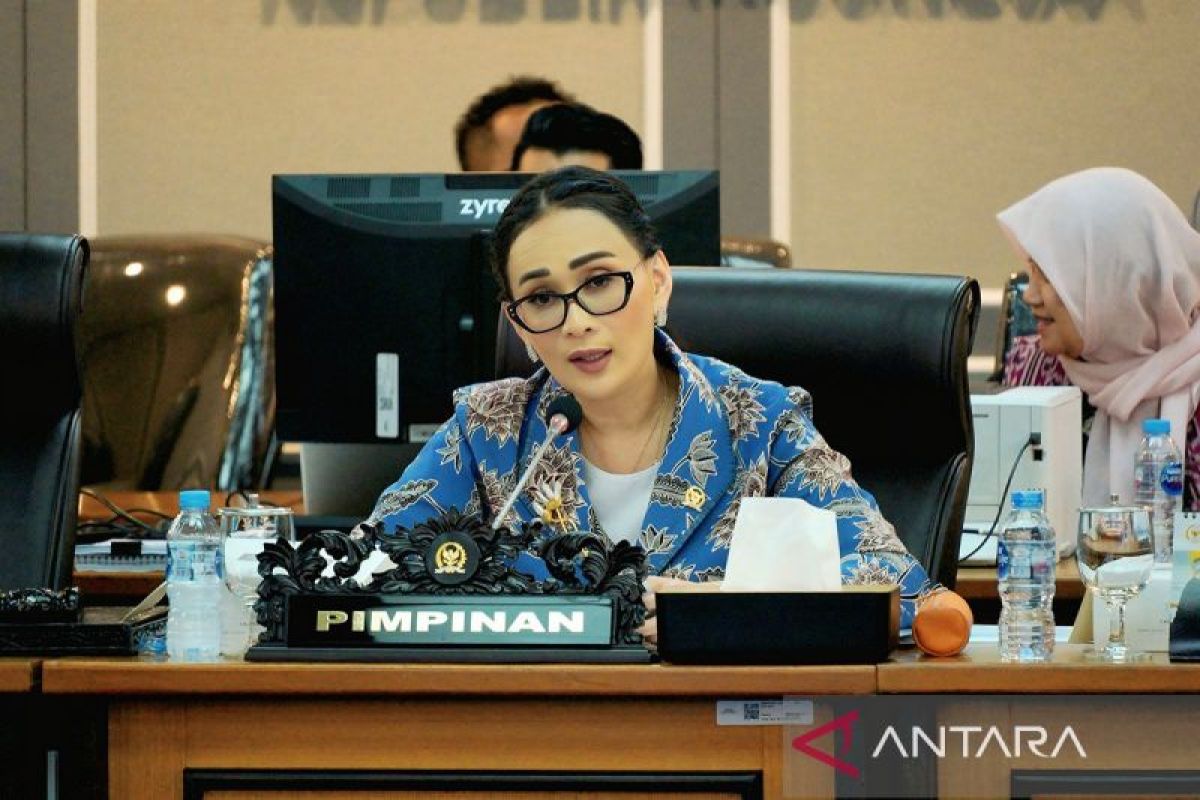 インドネシア下院議員が強調する日イ協力の重要性:地域安定の要として
