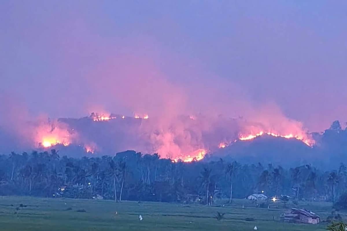 南レイテ州で大規模草火事、7ヘクタール焼失