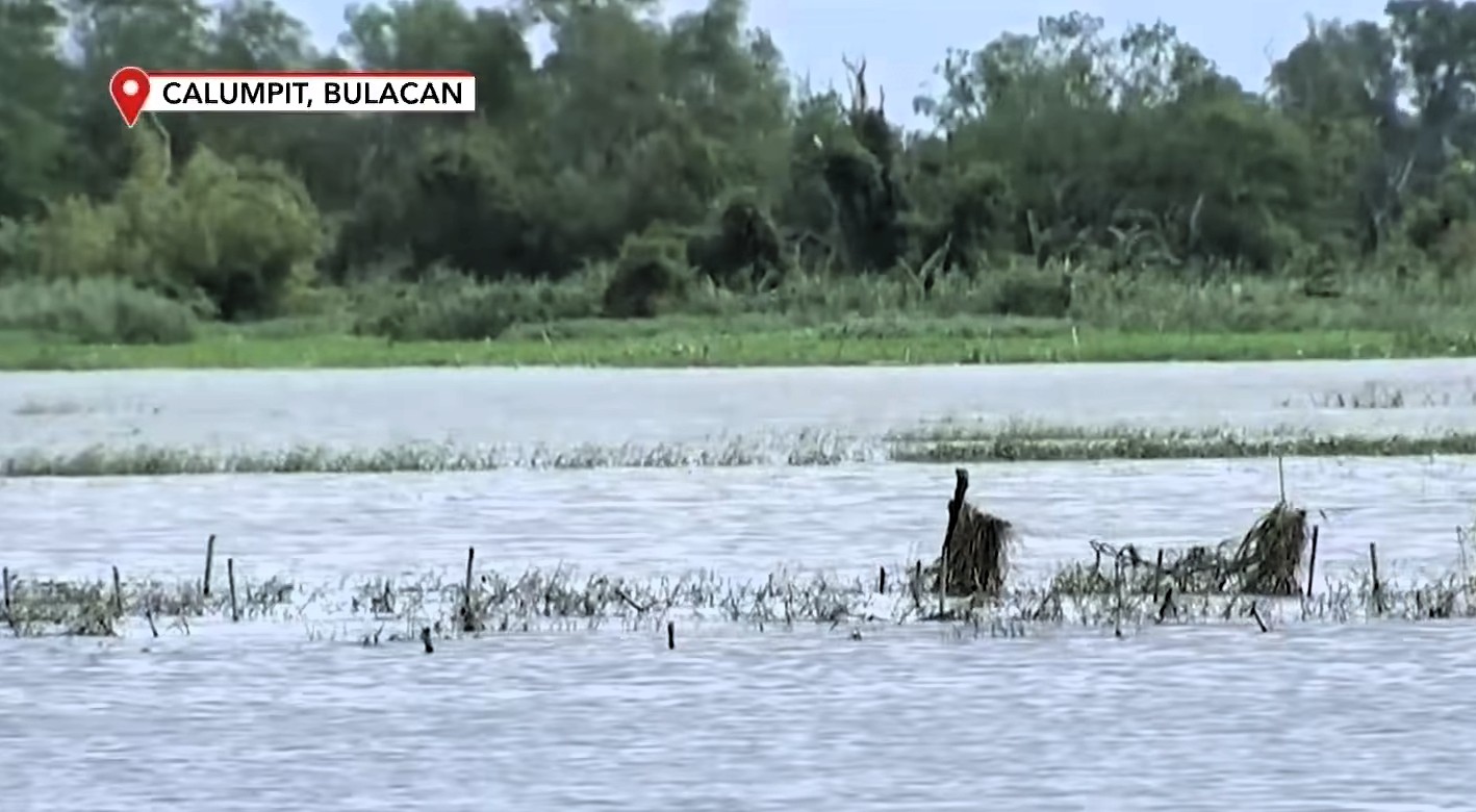 Agri damage, losses due to Habagat, 4 cyclones top P4.3 B