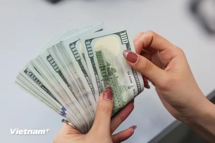 ベトナム、基準為替レートを5ドン引き下げ 経済安定化への一歩か