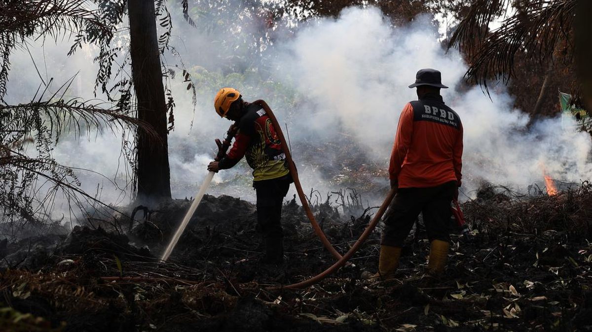 Indonesia Allocates Over $24 Million for Forest Fire Response in West Kalimantan