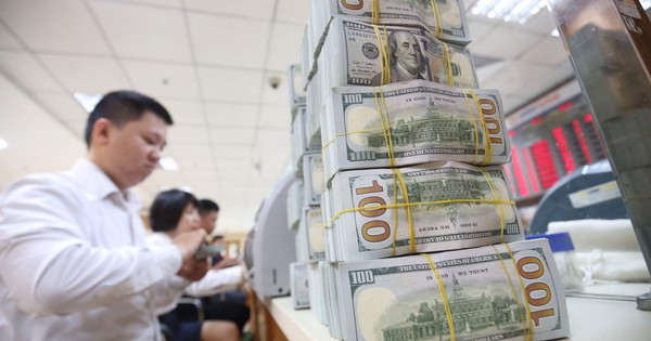 Vietnam's Foreign Exchange Reserves Reach $87.6 Billion, IMF SDRs to be Included