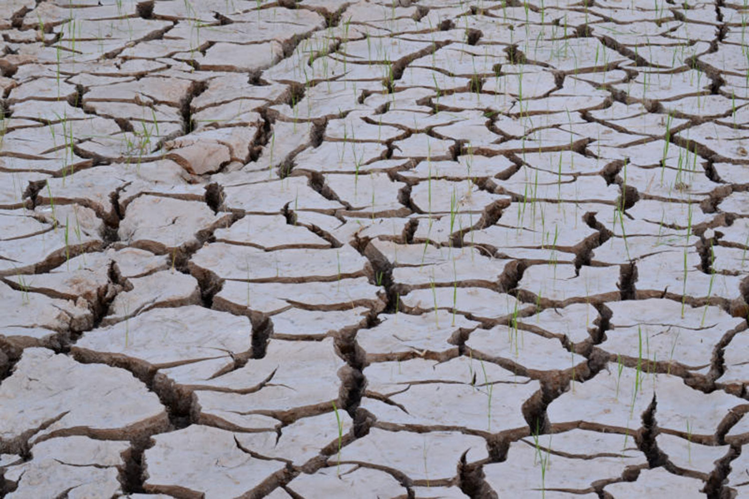 Thailand Ramps Up Water Reserves Ahead of El Niño Impact