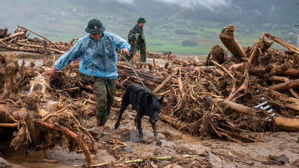 Vietnam's North Reels From Flash Floods: Search and Recovery Efforts Continue