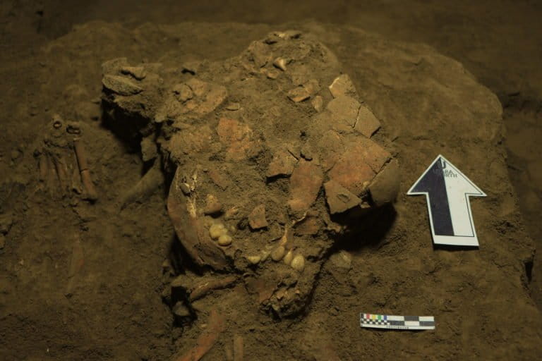 DNA of 'Besse', a Toalean Woman from 7,200 Years Ago, Suggests Link to Papuan and Aboriginal Australian Populations