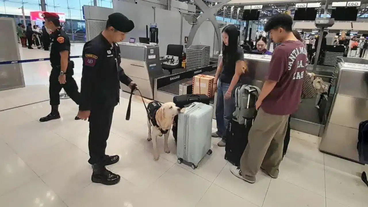 バンコク空港、麻薬探知犬で厳戒態勢 密輸阻止へ
