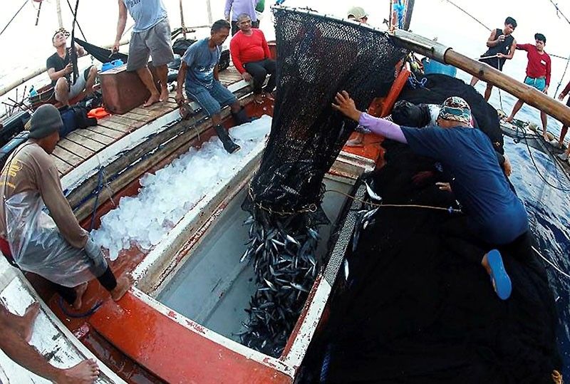UP study quantifies marine value in West Philippine Sea