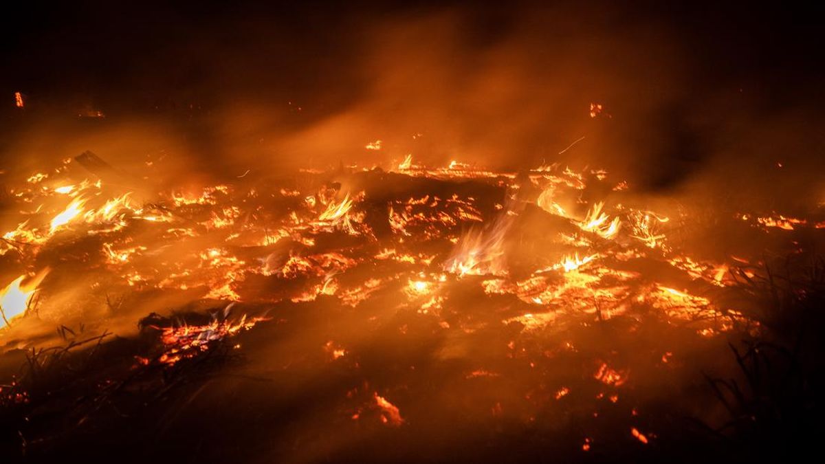 Gorontalo Air Quality Unhealthy Due to Forest Fire Haze from Kalimantan and Papua