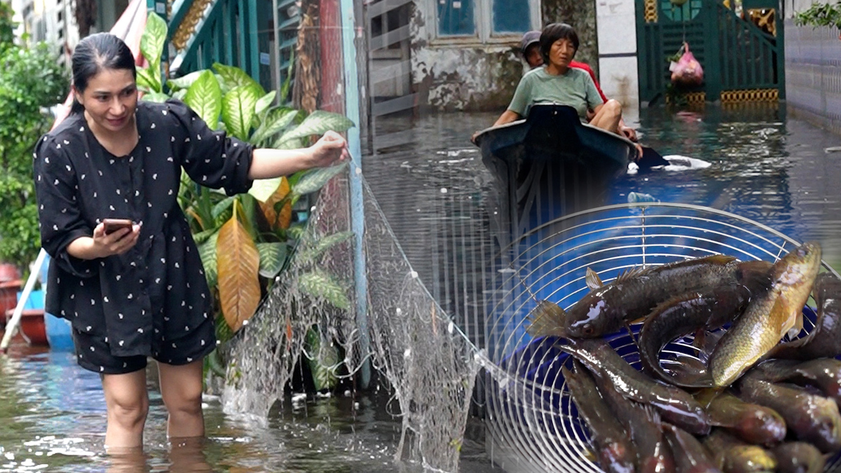 Ho Chi Minh City Residents Resort to Fishing Amidst Flooded Residential Areas