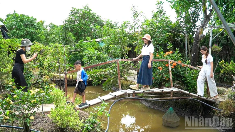 Can Tho's Eco-Tourism Flourishes with Summer Visitors