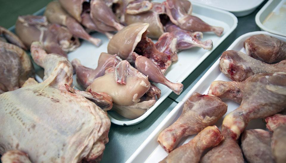 フィリピン、2027年に鶏肉輸入を約15%増へ USDA予測