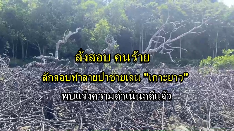 Koh Yao District Chief Orders Investigation into Over 10 Rai of Mangrove Forest Encroachment