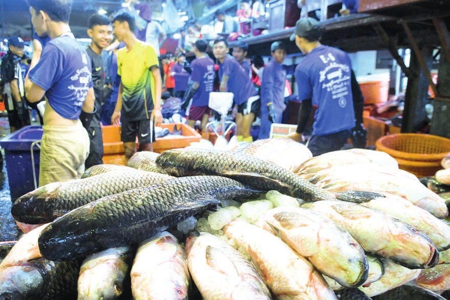 Shwe Padauk Fish Market handles 400,000 visses of fish daily