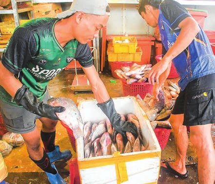 シュエパダウク魚市場、毎日2,000人以上の雇用創出