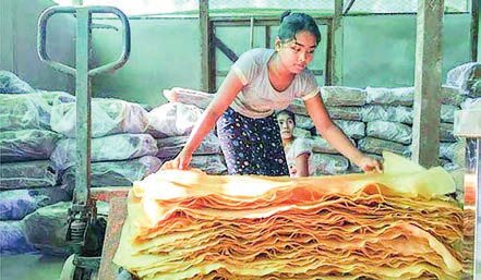 500+ private industries registered with DISI in YGN by May