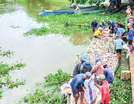 Ayeyawady Region supports farmers in 3 townships with loans and agricultural inputs