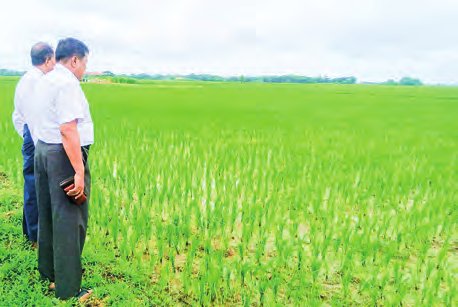 MFSPEA invites member companies to import fertilizer for Q3