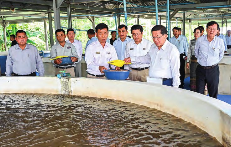 Yangon Region to Lead the Way in Food Security