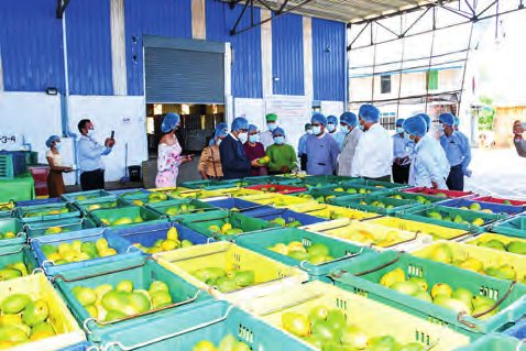 2025-26 Fruit Exports Miss Target