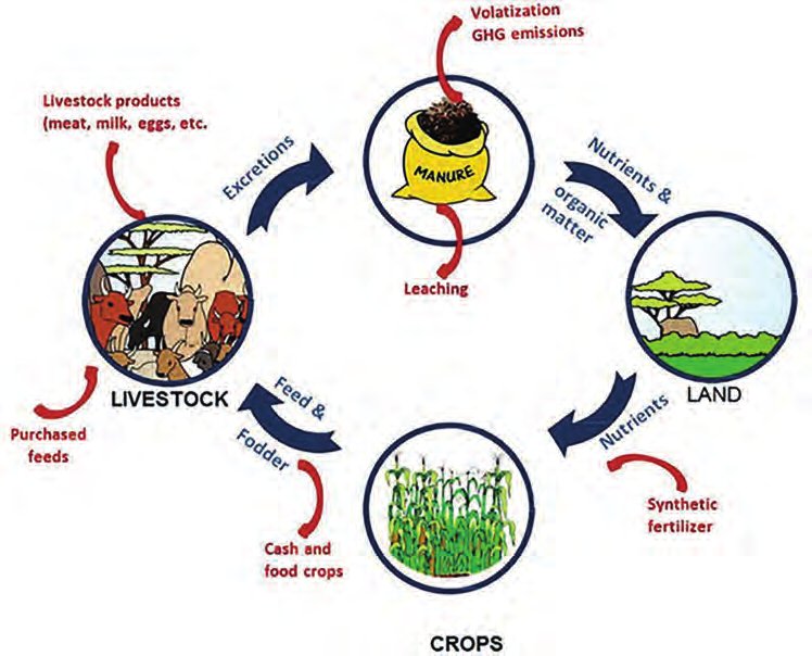 MoALI develops AI mobile app and digital services for farmers