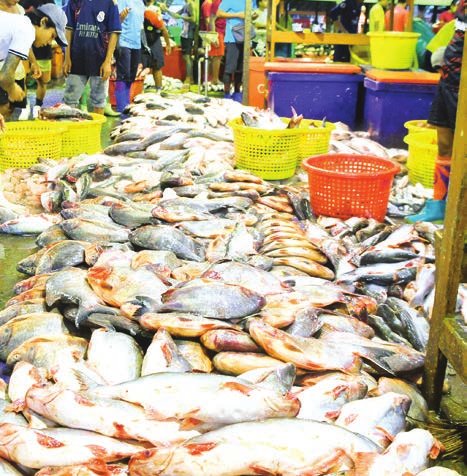 シュエパダウク魚市場、地元消費を促進