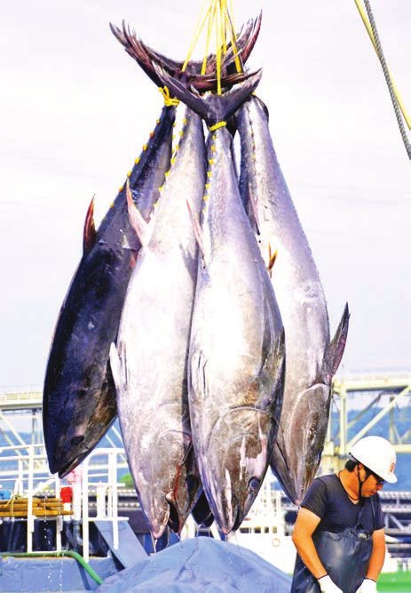農業・畜産分野の有能な人材育成へ